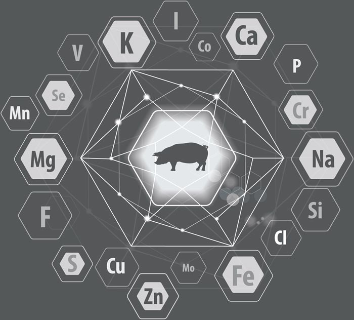 Mineral Interaction Pig